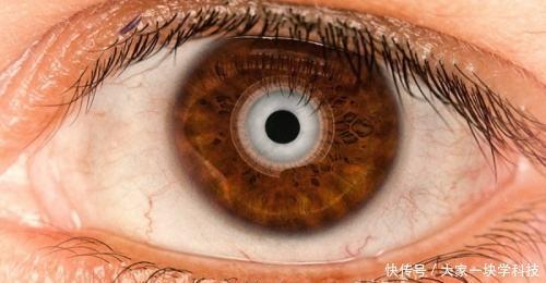 三D打印仿生技術(shù)取得新打破，仿生眼球，仿生脊柱或?qū)?wèn)世